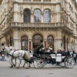 Why Vienna Rewards Those Who Slow Down
