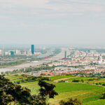 Summer Magic in Vienna: A City Full of Life